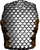 Scale Armor