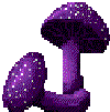 Purple Mushroom