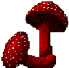 Red Mushroom