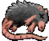 Feign Death Feign Death