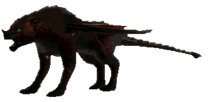 Chimera Chimera