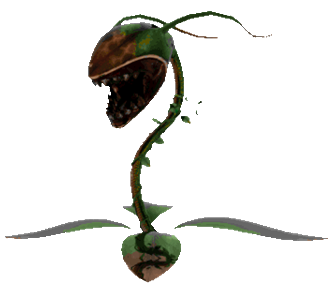 Frenzy Sprout Frenzy Sprout