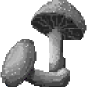 Gray Mushroom