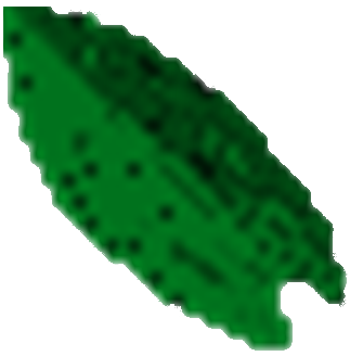 Green Hydra Scale