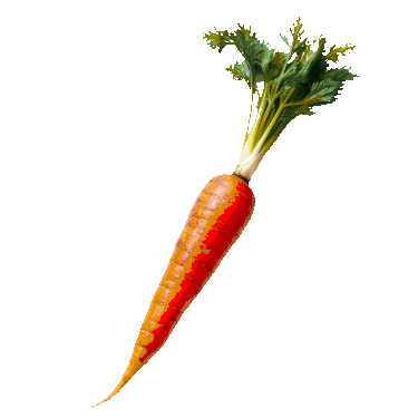 carrot