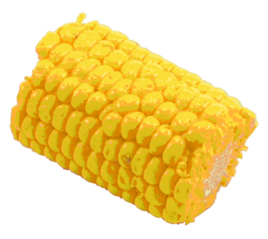 corn cob