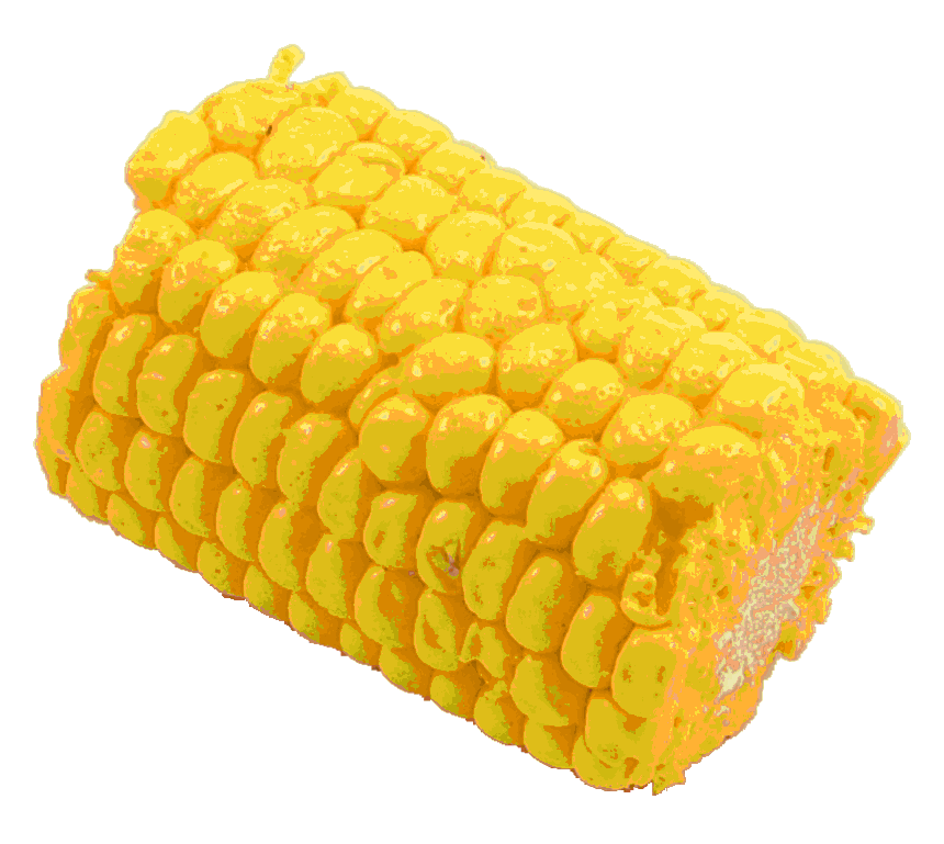 corn cob