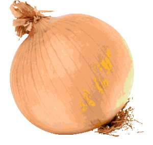 onion