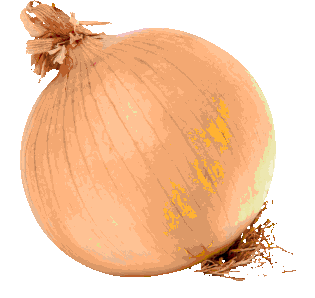 onion