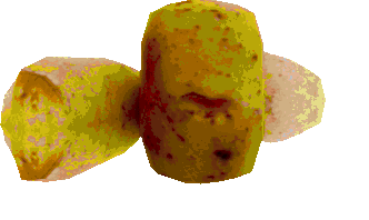 potatoes