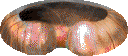 Berserker Ring Berserker Ring