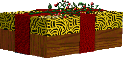 Special Gift