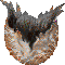Egg Shell
